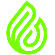 BBF — Brasil BioFuels
